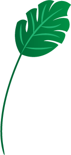 website creative development design agency India 